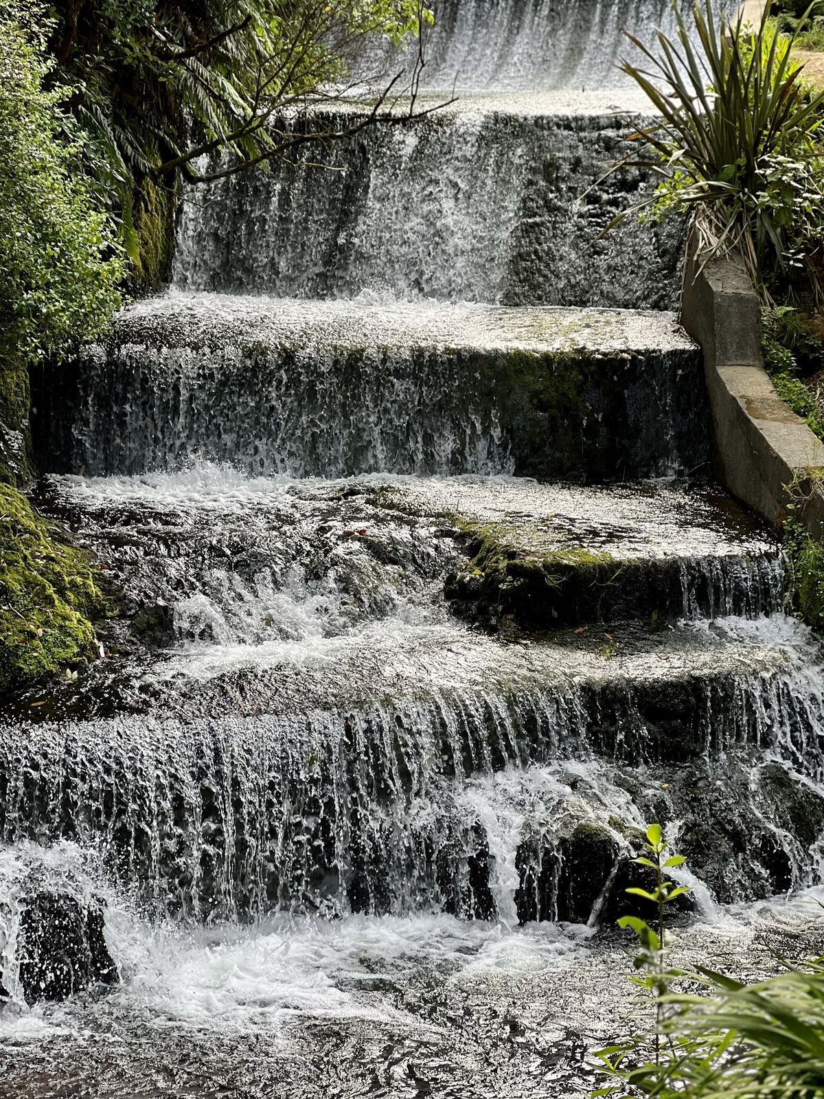 A cascading waterfall flows over moss-covered stone steps, surrounded by lush green foliage and small plants, creating a serene, natural setting.