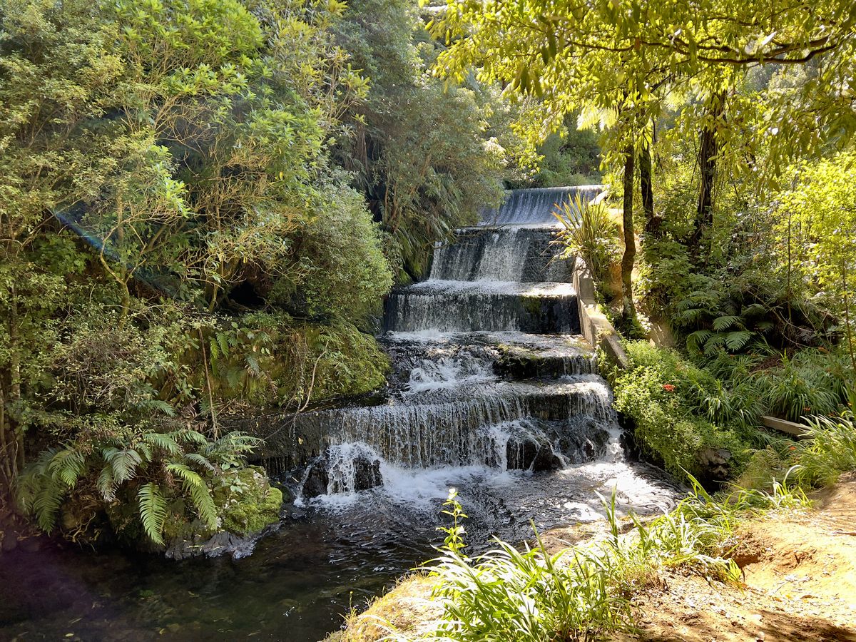 A waterfall cascades over rocks, surrounded by lush greenery. Sunlight filters through trees, illuminating ferns and mosses. A dirt path runs alongside, adding to the serene forest setting.