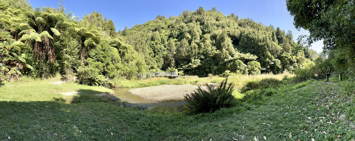 A lush forest with towering ferns borders a small, tranquil river. A wooden bench sits nearby on the grass, and a walkway stretches over the water beneath a clear blue sky.
