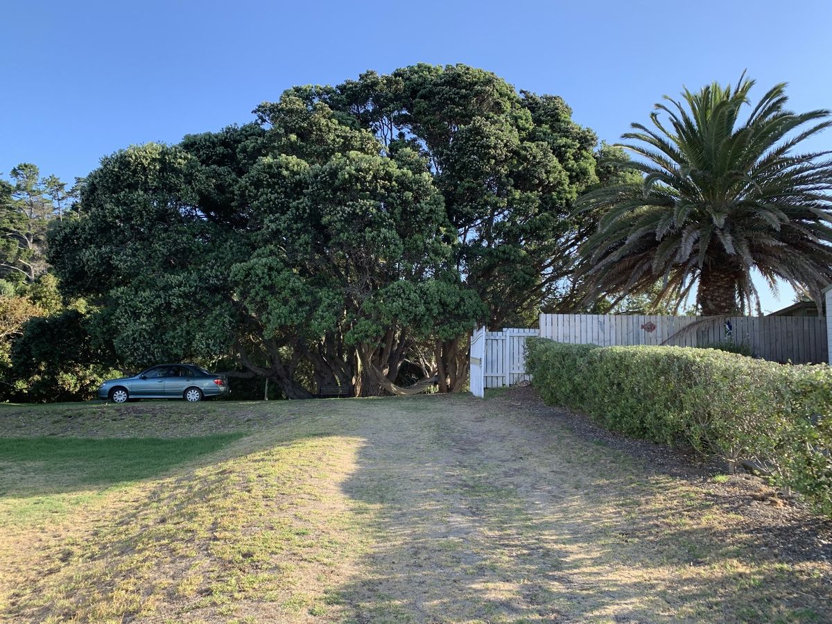 A car parked under a large fence at the end of a long grass driveway